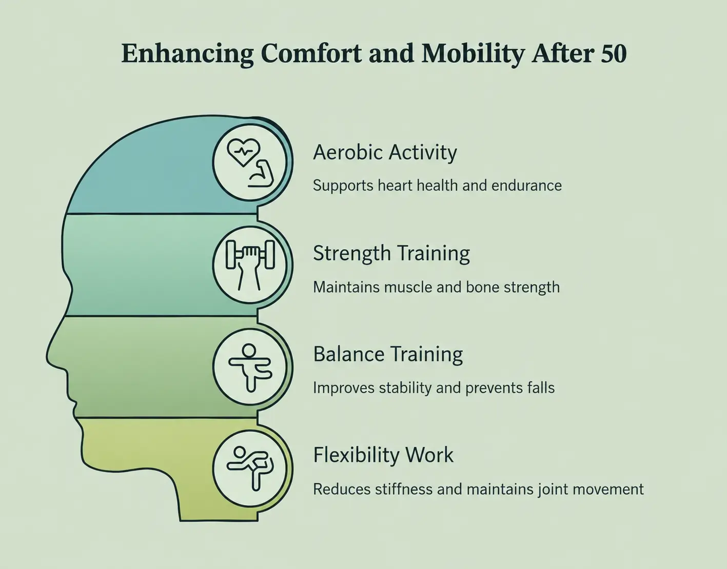 Illustration showing aerobic, strength, balance and flexibility exercises supporting safe mobility and active living after 50.