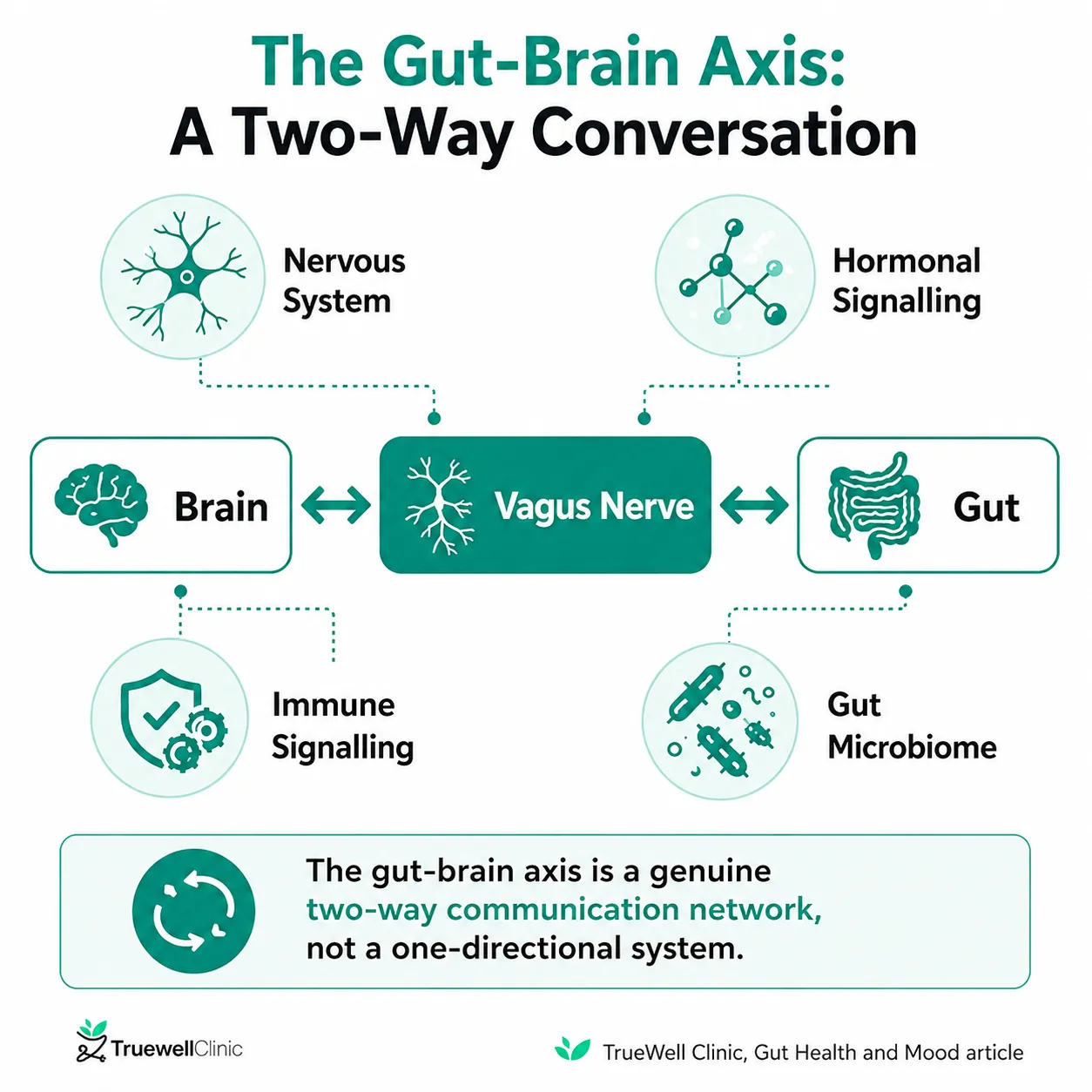 Gut-brain axis diagram showing two-way communication between brain and gut via vagus nerve, immune signals and microbiome health