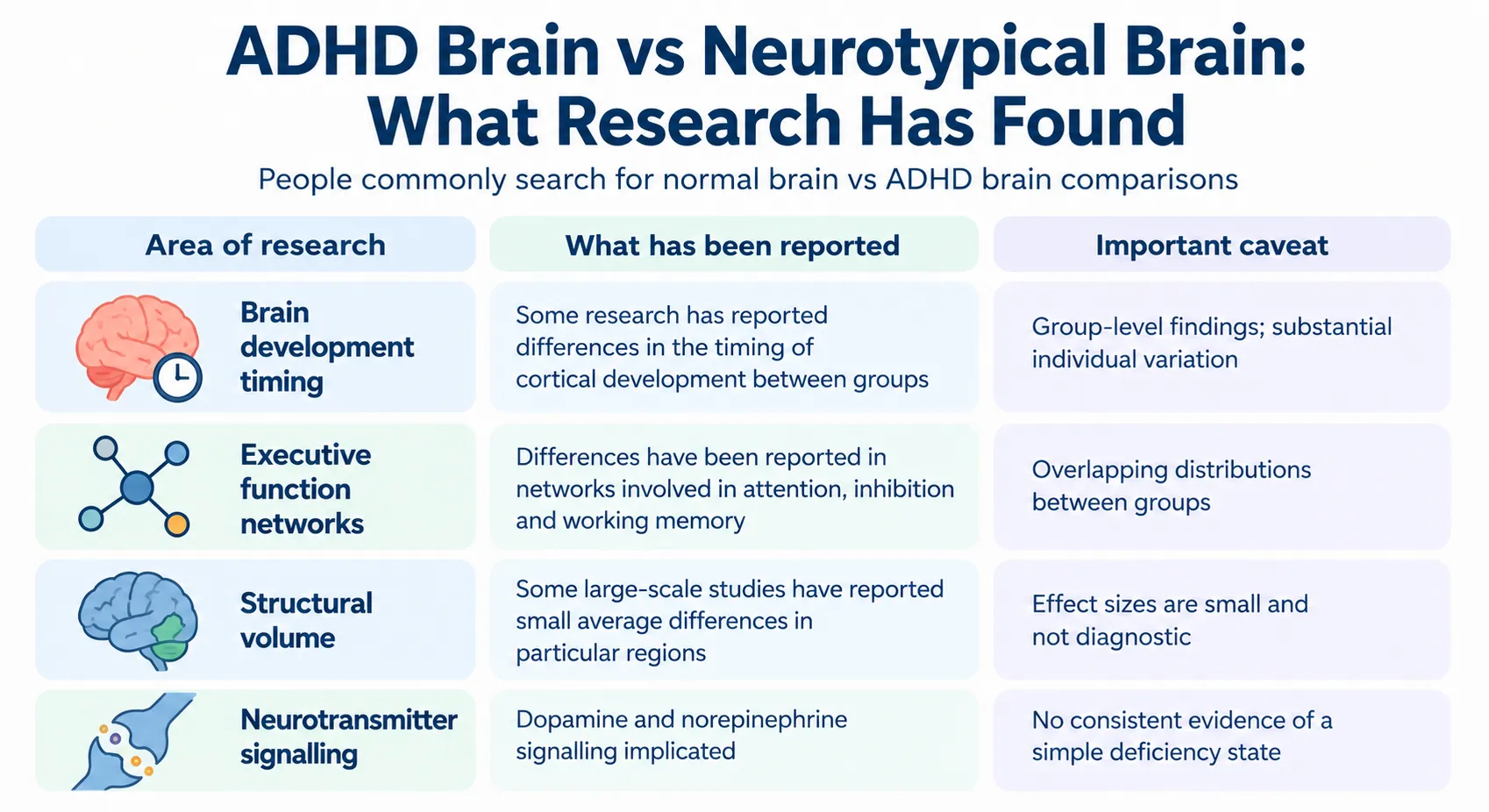 ADHD brain vs neurotypical brain infographic comparing research findings on brain development, executive function, structure, and neurotransmitters.