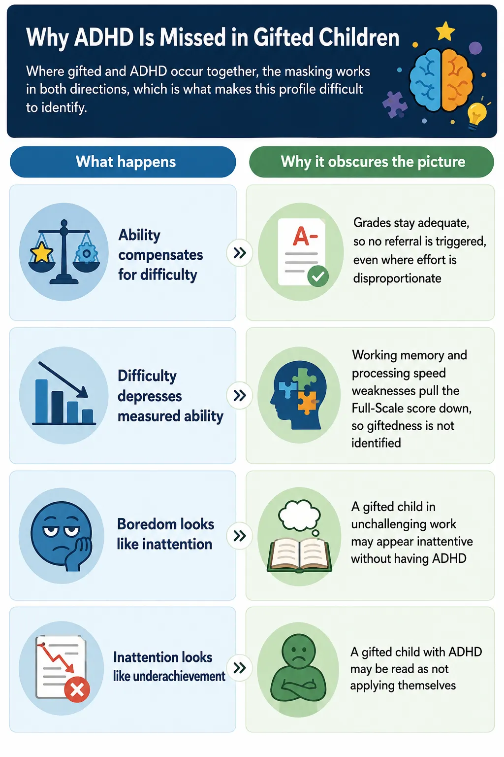 Infographic explaining why ADHD is often missed in gifted children, showing how high ability can mask attention difficulties, processing challenges, boredom, and underachievement.